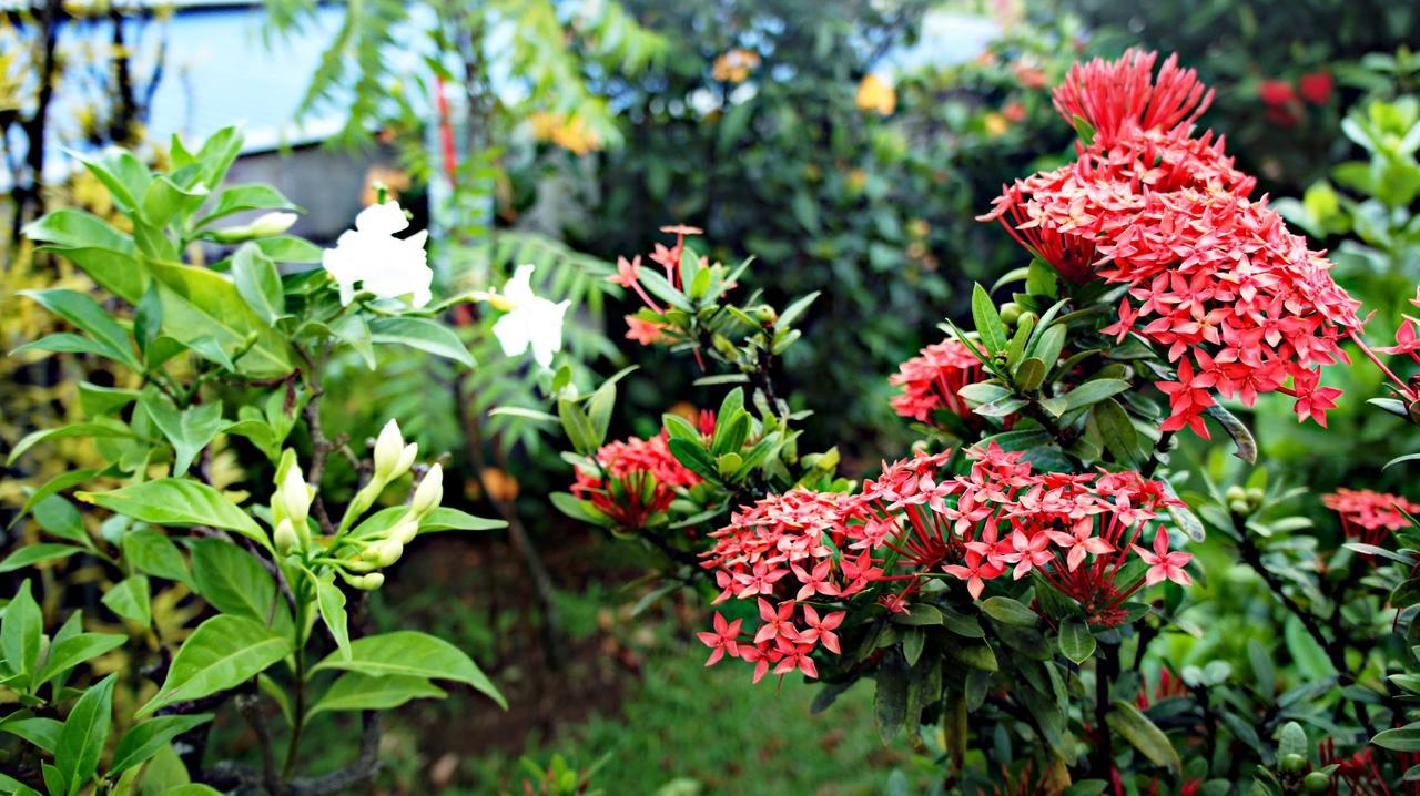 Villa Jeanisette ทรัวส์-รีวิแยร์ ภายนอก รูปภาพ